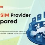 Top eSIM providers compared